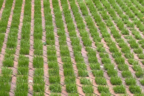 Укладка газонного камня: особенности